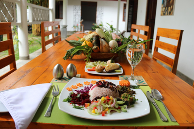 Dream's Tree Ayurveda Villa Ahungalla