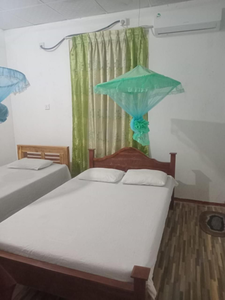 Green Villa
