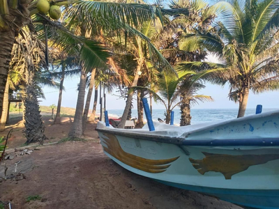 Beach Bungalow