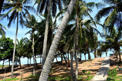 Beach Bungalow