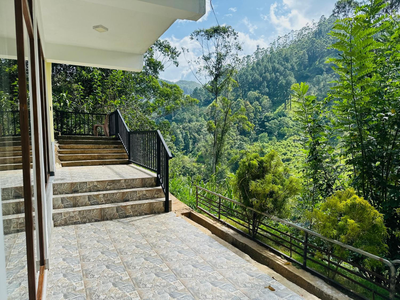 Ella Family House