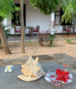 The Danish Villa Resort