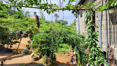 Cozy House Hostel