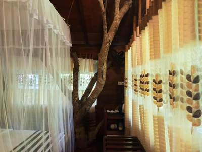 Eco Village
