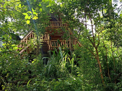 Eco Village