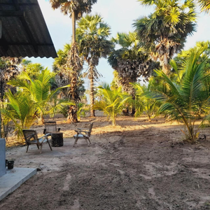 Malabar Beach Walk