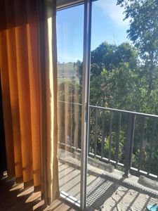 Gregory jungle inn