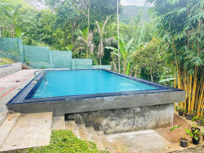 Lavender Hills Home Stay