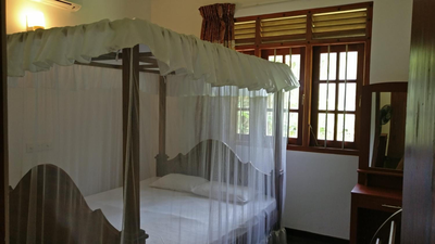 Bird Villa