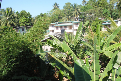 Evening Star Guest Inn