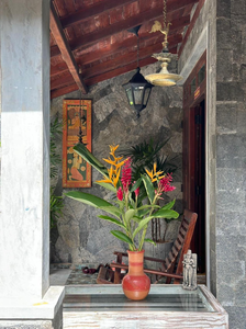 Villa Aroshina with cooking class