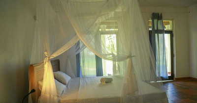 Bluewind Resort
