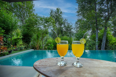 Tea house villa
