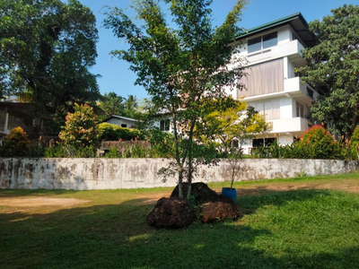 Rock View Inn