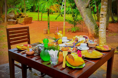 Selnara Private Luxury Villa and Ayurveda Spa