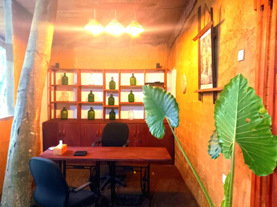 Selnara Private Luxury Villa and Ayurveda Spa