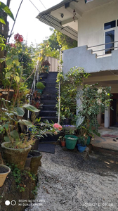 Nature Home