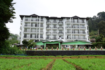 Homewood Luxury Apartment