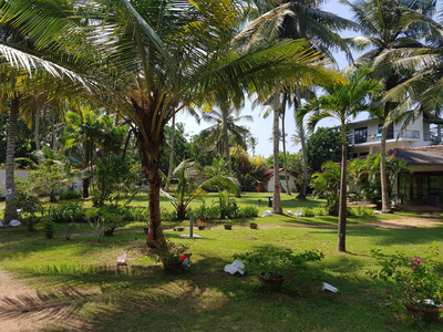 Dreamvillage