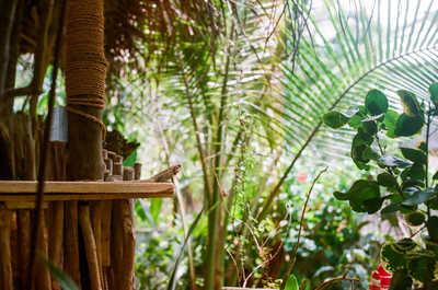 Nature Rex Hostel