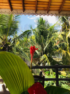 Neli guests house
