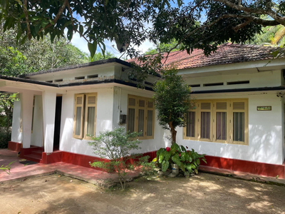 Blooming Lanka (Wickumsiri)