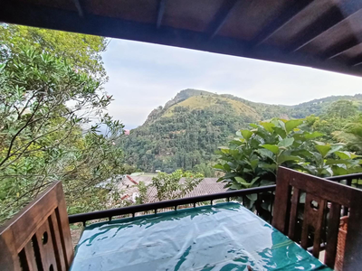 Divine View Homestay