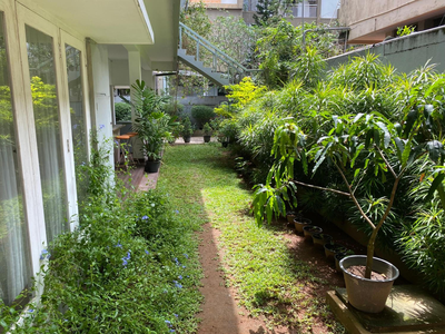 The Terrace
