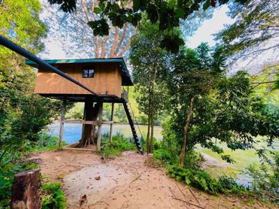 The Magical Tree House