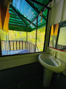 The Magical Tree House