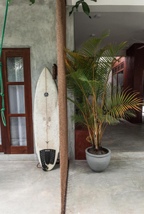 Coconut Surf Inn