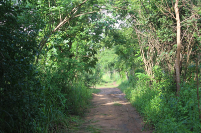 Wilpattu Holiday Home