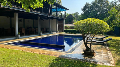 Honey Tree Polonnaruwa