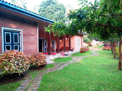 Honey Tree Polonnaruwa