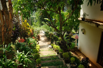 Kandy Mountain Cottage