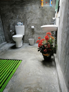 Moksha eco villa Ella