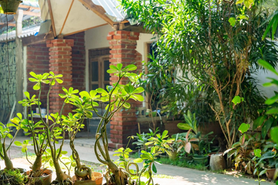 Green Garden Resort