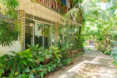 Green Garden Resort