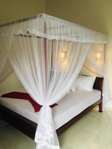 Anthony Guesthouse