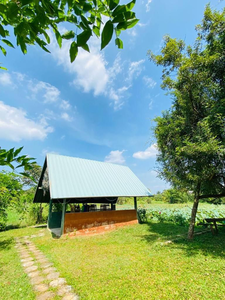 Meegahapokuna Resort