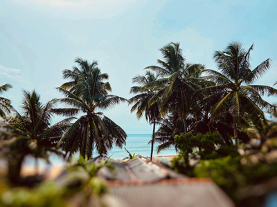 Beach bliss Arugambay