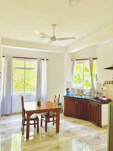 Alovera inn weligama