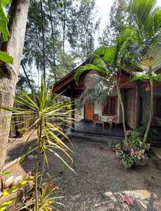 New Roy Guest House
