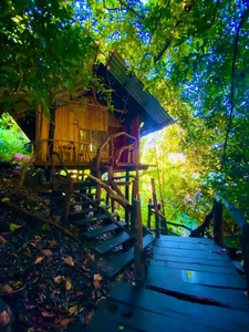 Yodhaara Nature Resort
