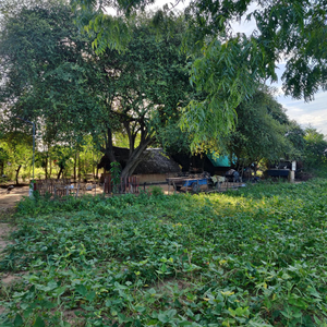 Yala Sappayama Campsite