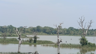 Sandaliaya Rest - සඳලිය රෙස්ට්