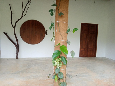 Ceylon Marley Villa