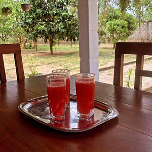 Nesan’s villa