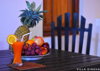 Villa Dineha