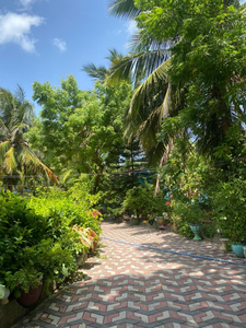 Island Breeze Inn